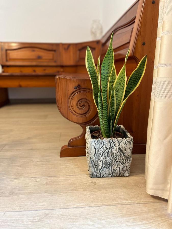 Casa Mia Malva Apartman Riccò del Golfo di Spezia Kültér fotó